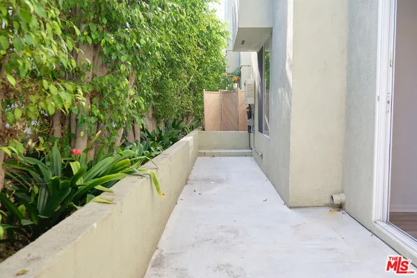 a view of path along with trees