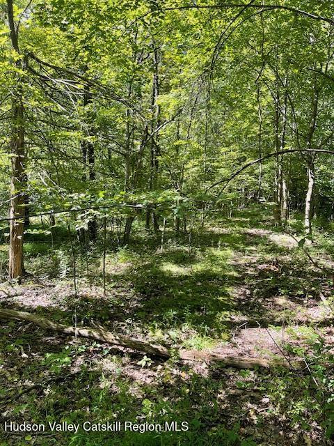 L-35 Harring Drive Cairo, NY 12413 - Photo 3 of 3 Sun Dappled