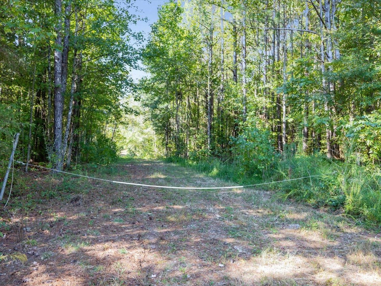 667 Emerson Cook Road Pittsboro, NC 27312 - Photo 3 of 24 Photo 3