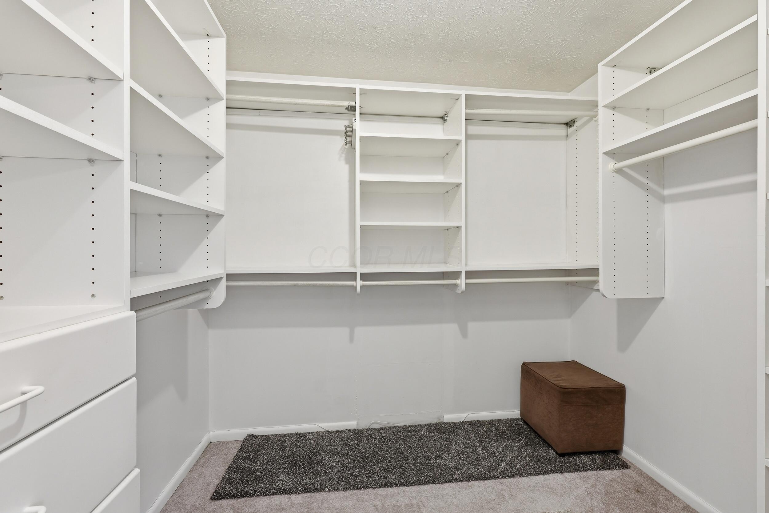1336 Hickory Ridge Lane Columbus, OH 43235 - Photo 20 of 55 Walk-in closet