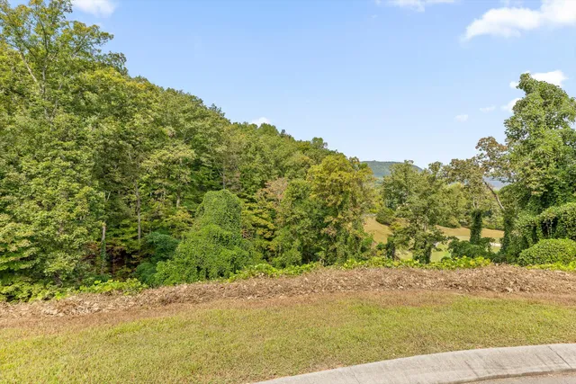 $250,000 | 587 Kestrel Lane, Chattanooga, TN 37419