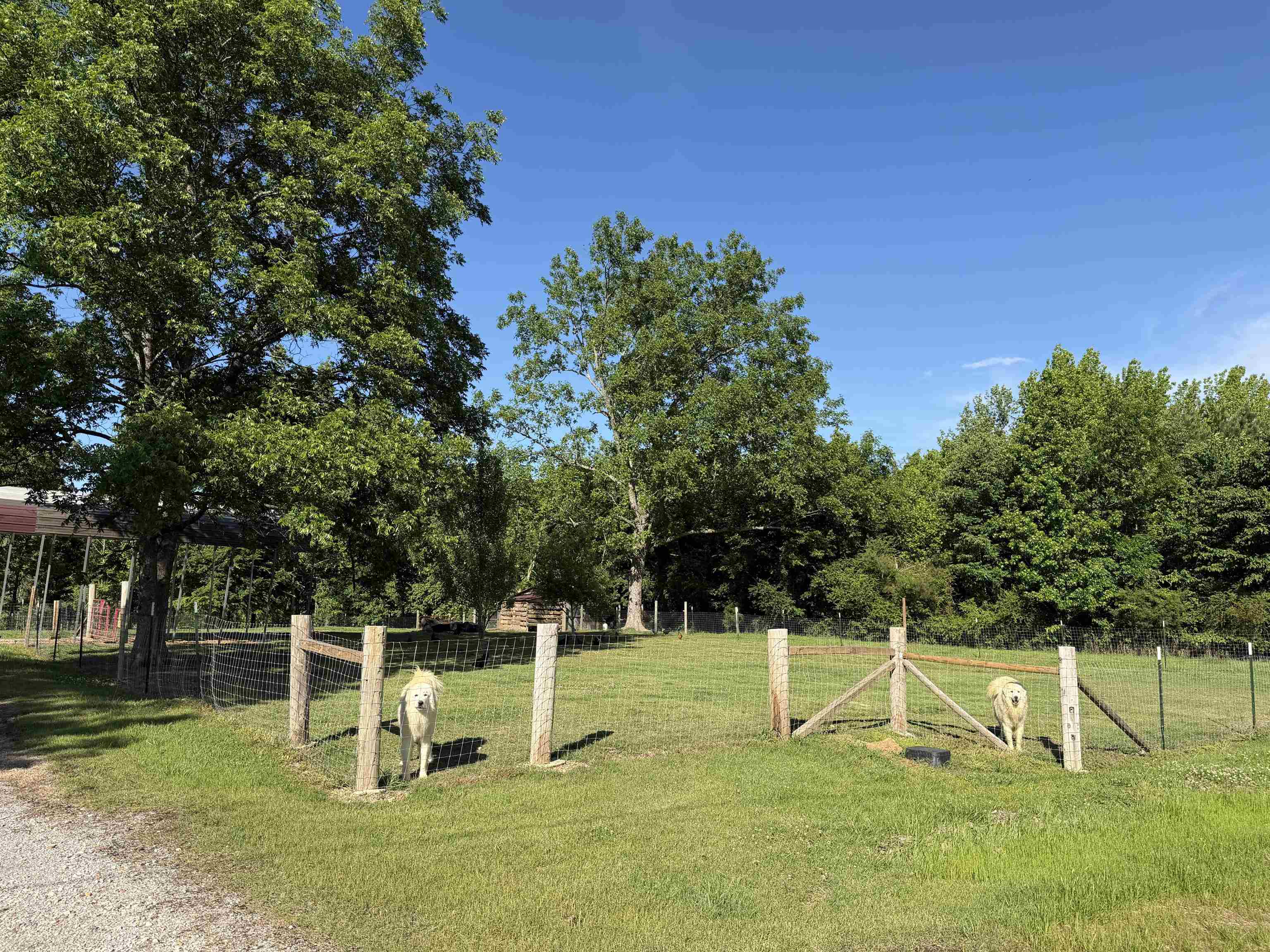 1120 Jot Em Down Road Morris Chapel, TN 38361 - Photo 36 of 40