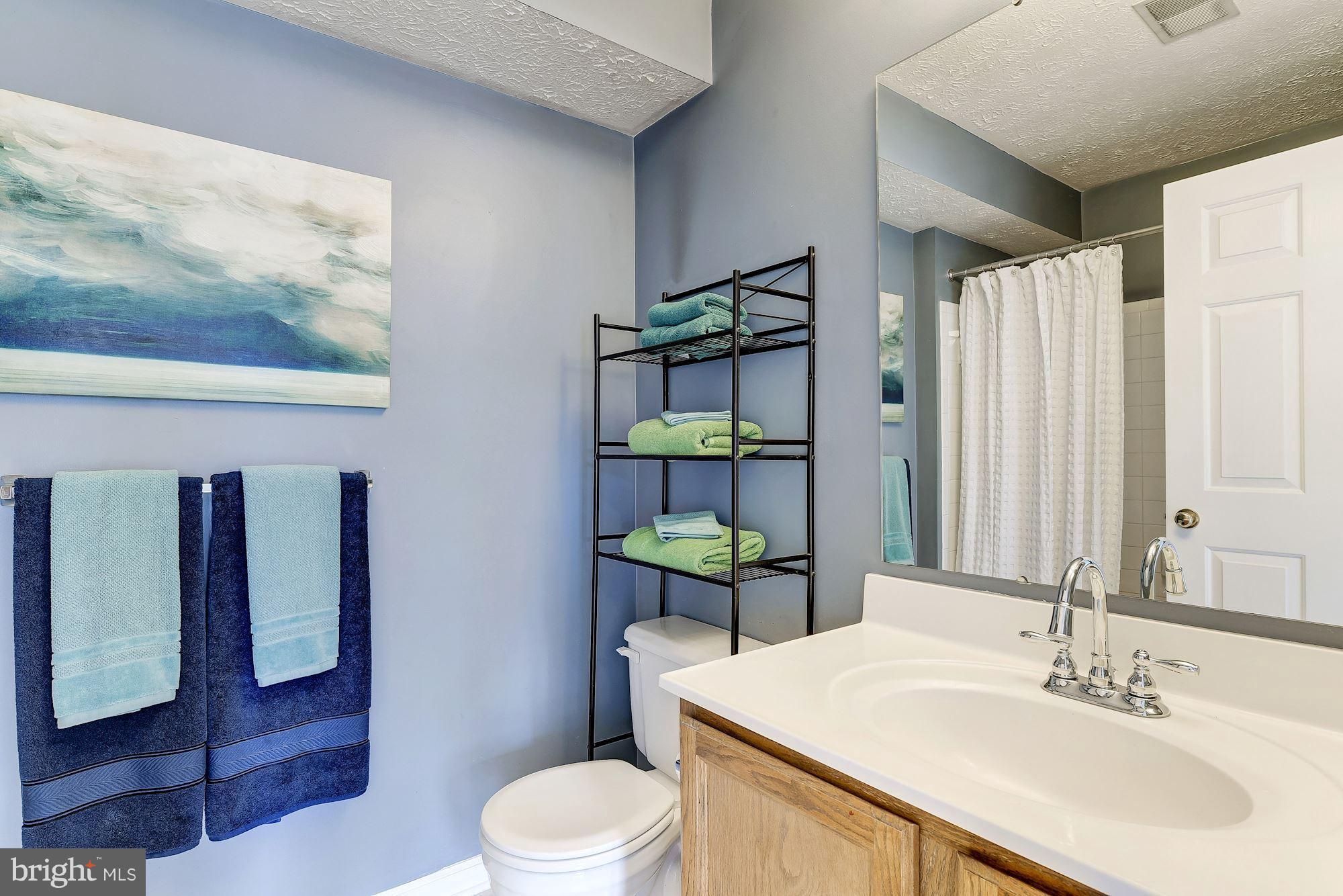 7906 Valley Manor Road, Unit 304 Owings Mills, MD 21117 - Photo 16 of 24 Maste Suite Bath