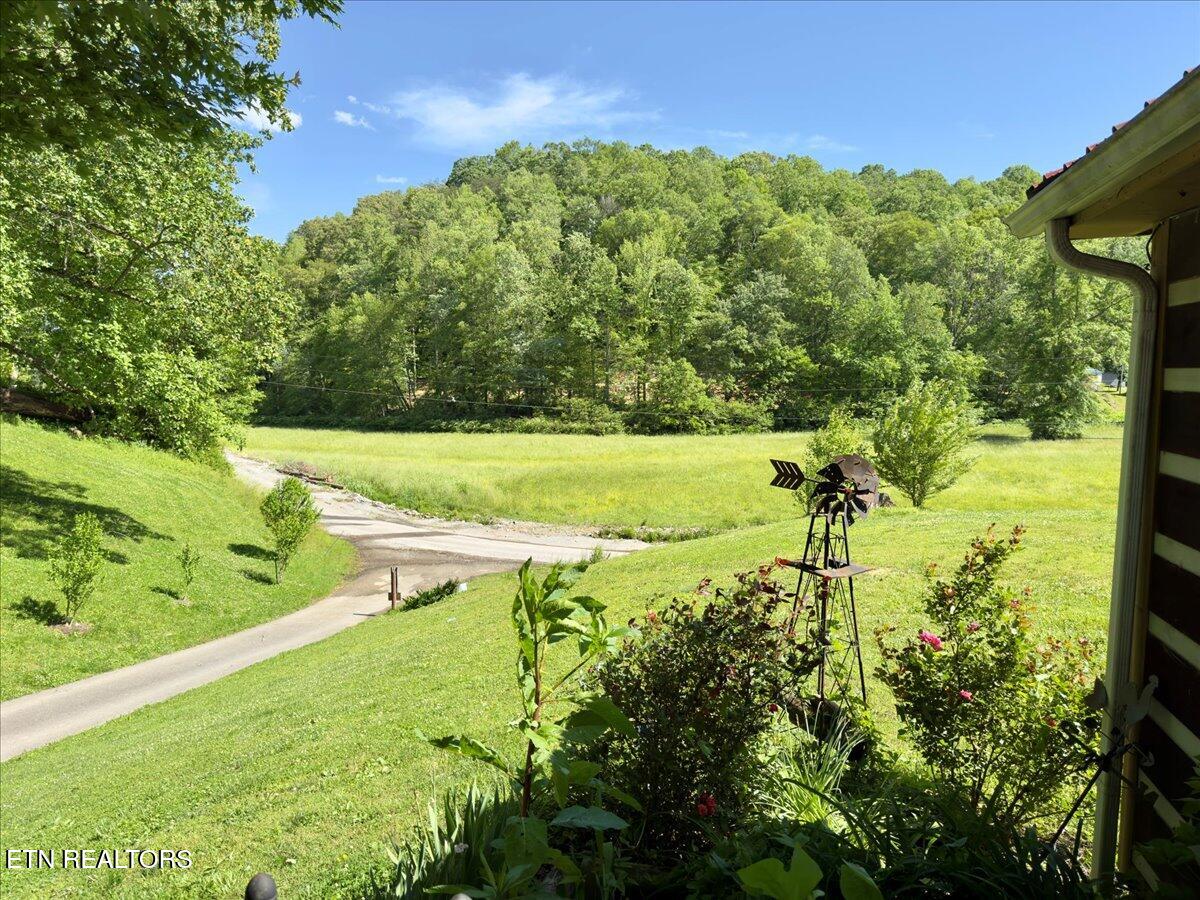 180 Stevenson Bridge Road Middlesboro, KY 40965 - Photo 4 of 31 03-IMG_8093