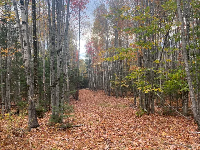 $94,500 | 5-7a East Road, Greenville, ME 04441