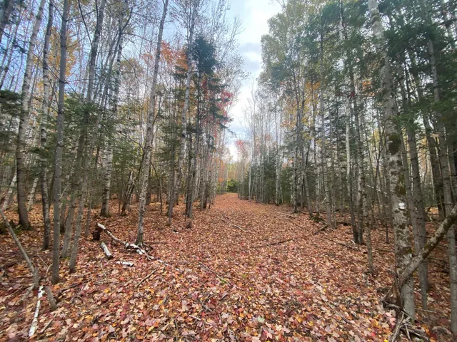 $94,500 | 5-7a East Road, Greenville, ME 04441