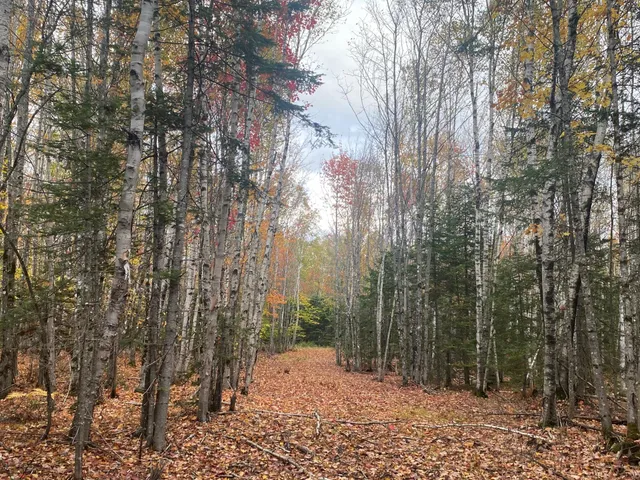 $94,500 | 5-7a East Road, Greenville, ME 04441