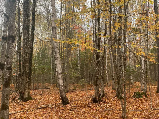 $94,500 | 5-7a East Road, Greenville, ME 04441