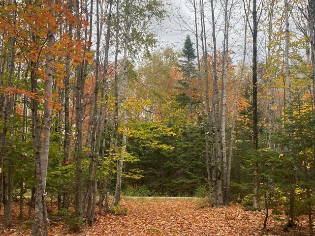 $94,500 | 5-7a East Road, Greenville, ME 04441