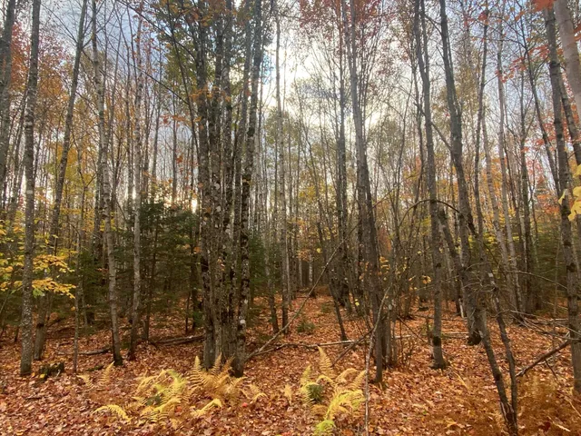 $94,500 | 5-7a East Road, Greenville, ME 04441