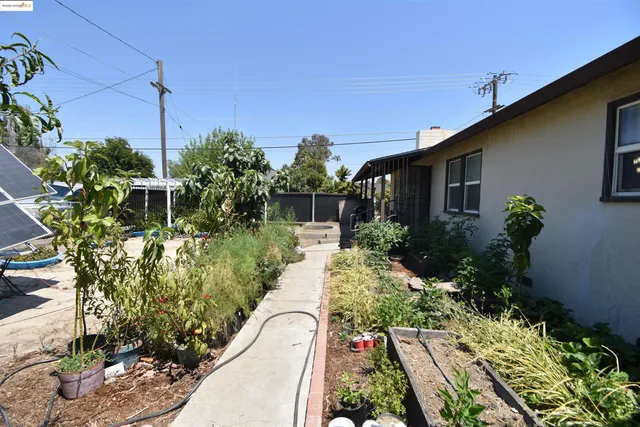 a view of house with tall trees