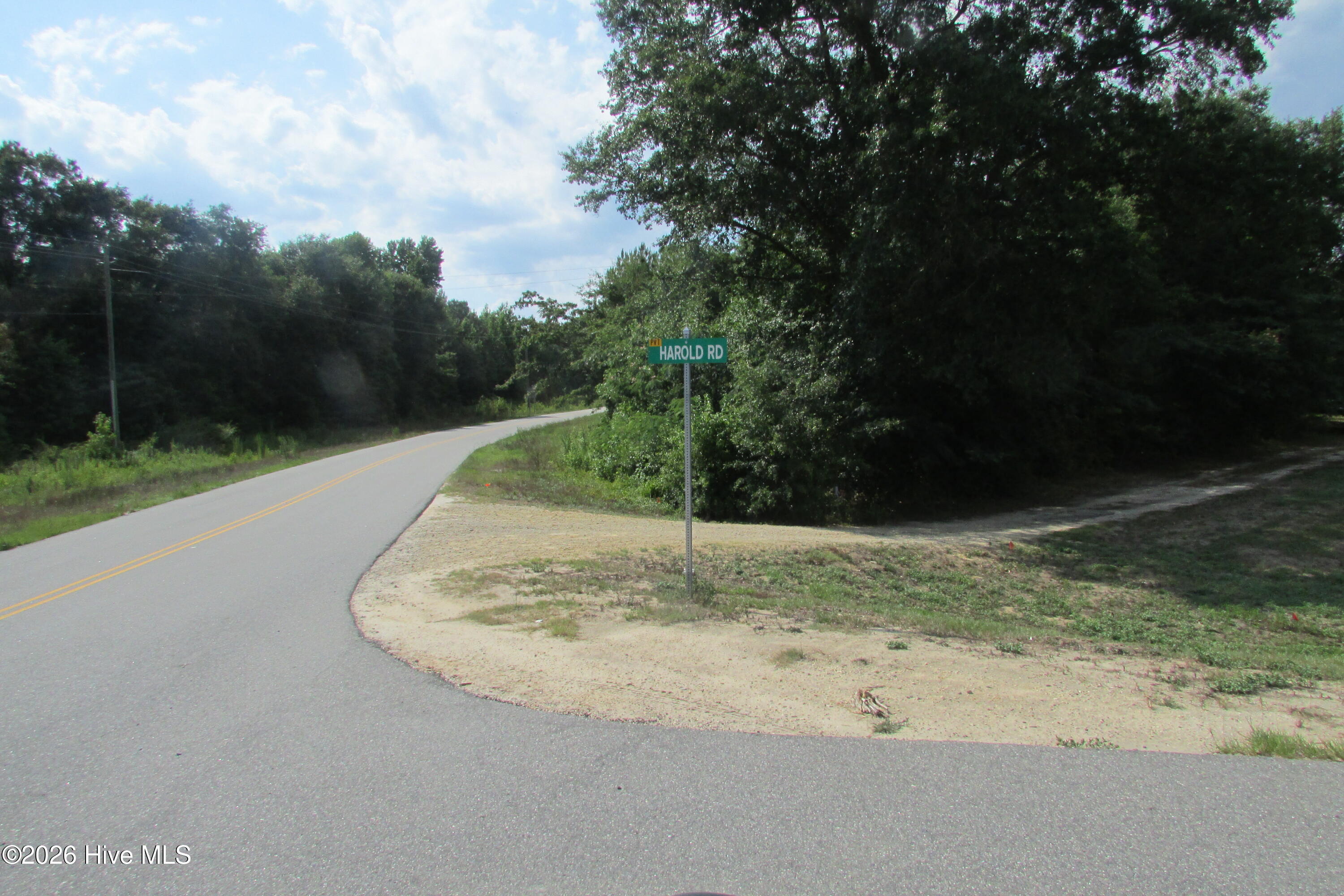 0 Marion-Amos Road Roseboro, NC 28382 - Photo 3 of 3