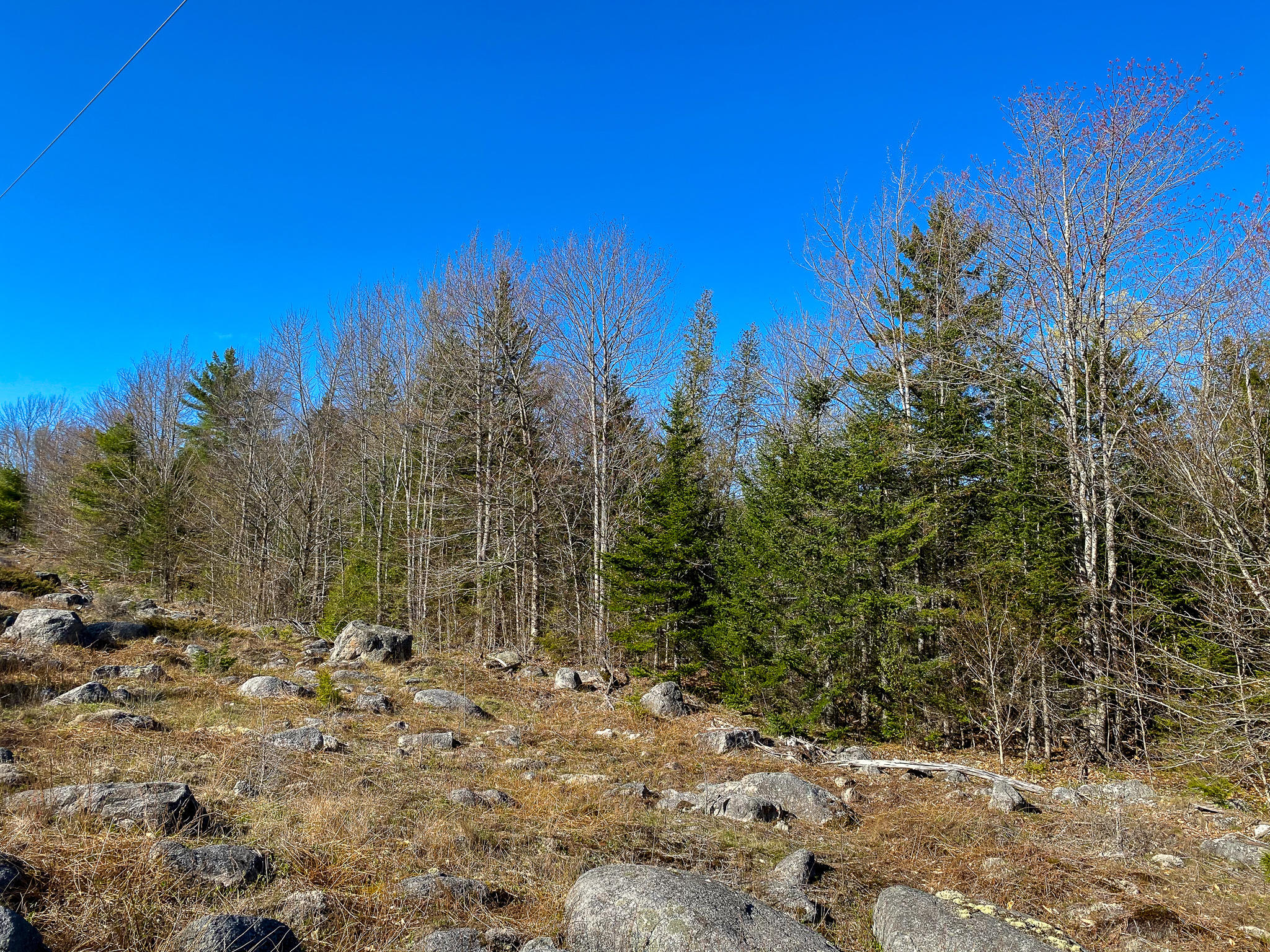 1510 Otis Road Ellsworth, ME 04605 - Photo 6 of 20 IMG_3148
