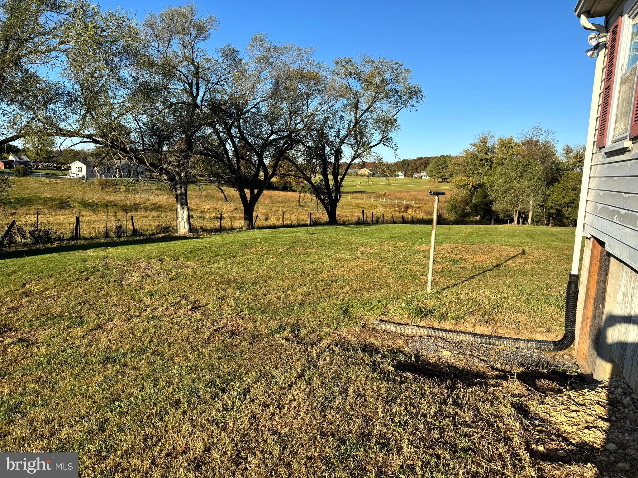 136 Shady Creek Road Clear Brook, VA 22624 - Photo 18 of 22 a view of a yard with an tree