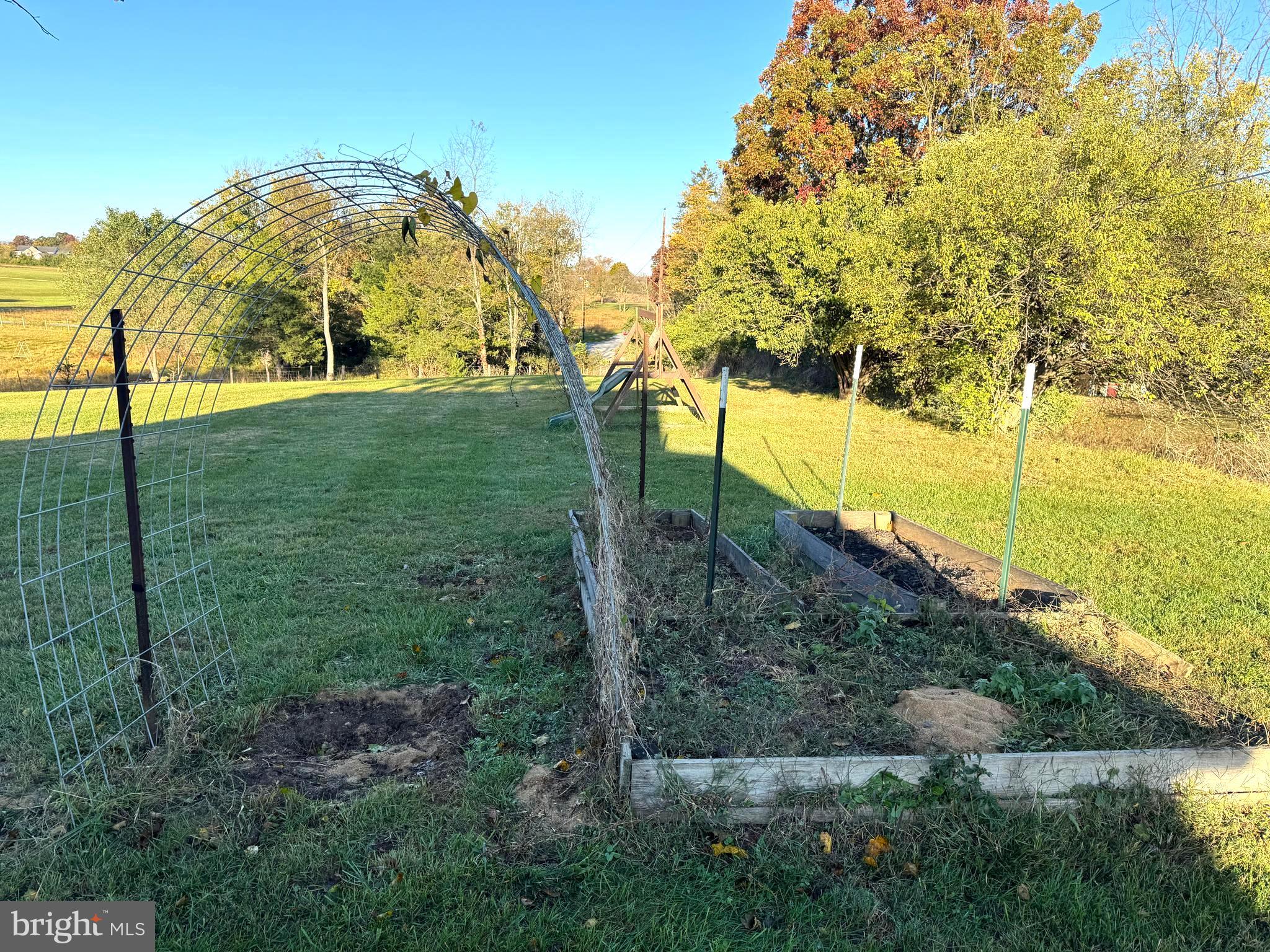 136 Shady Creek Road Clear Brook, VA 22624 - Photo 19 of 22 a view of an outdoor space and a yard