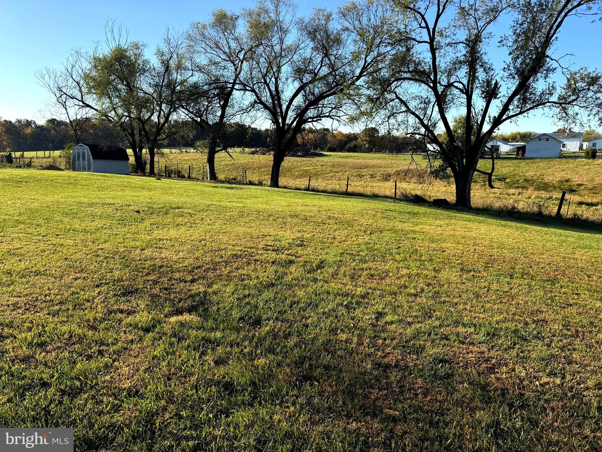 136 Shady Creek Road Clear Brook, VA 22624 - Photo 20 of 22 a view of a yard with a tree