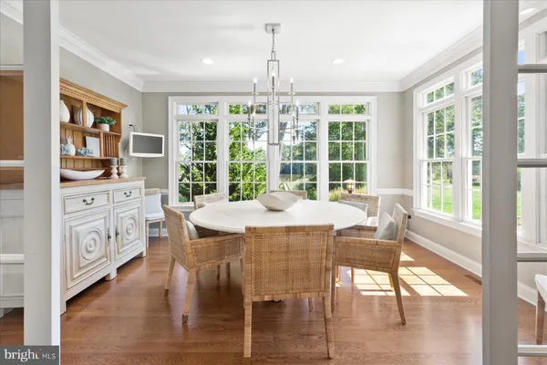 a view of a park that has large trees