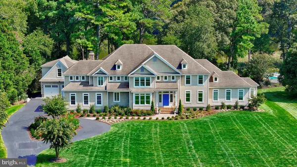 a living room with furniture a fireplace and a potted plant