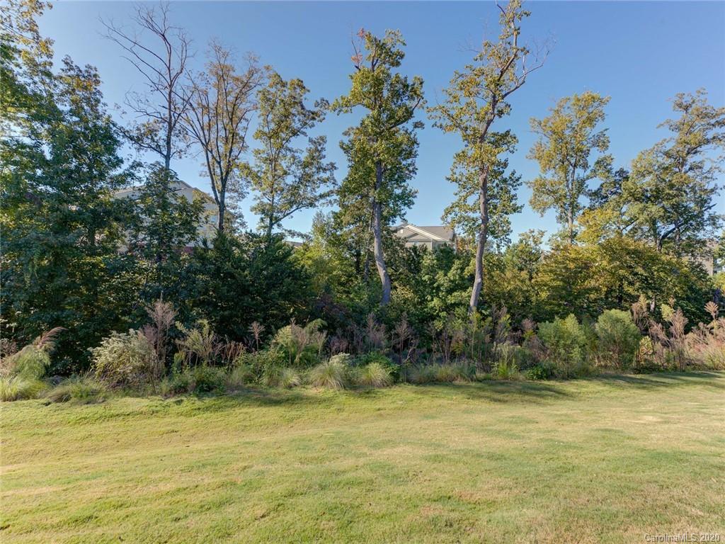 629 Amber Meadows Way Tega Cay, SC 29708 - Photo 46 of 46