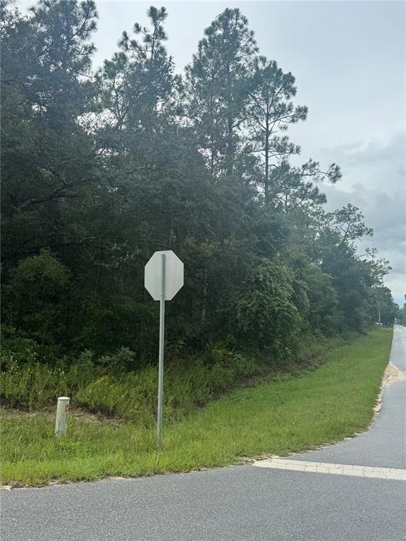 Southeast Avenue Webster, FL 33597 - Photo 2 of 9 a view of a garden
