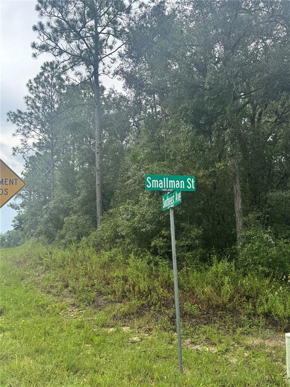 Southeast Avenue Webster, FL 33597 - Photo 3 of 9 a green field with lots of trees