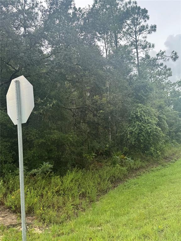 Southeast Avenue Webster, FL 33597 - Photo 4 of 9 a view of a back yard