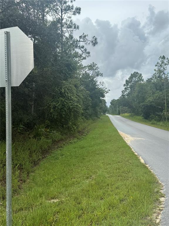 Southeast Avenue Webster, FL 33597 - Photo 6 of 9 a view of a outdoor space