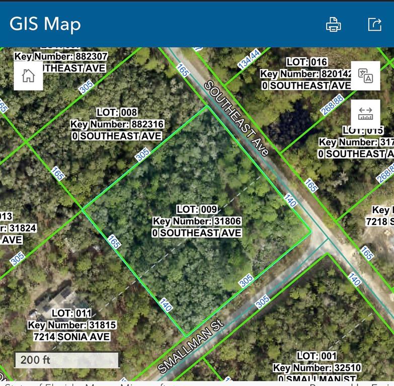 Southeast Avenue Webster, FL 33597 - Photo 9 of 9