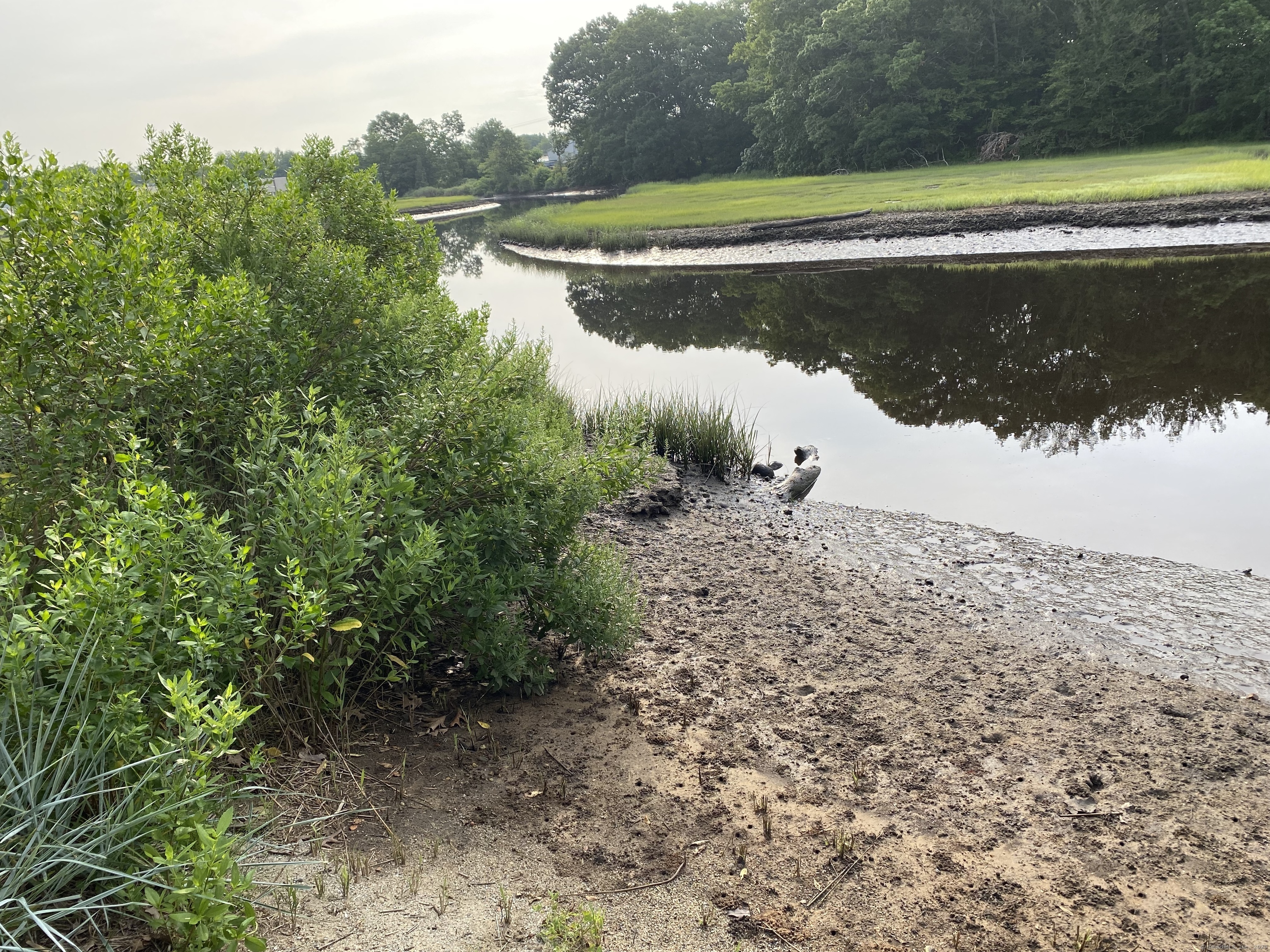 60 Ingham Hill Road Old Saybrook, CT 06475 - Photo 13 of 23 a view of a lake with a big yard