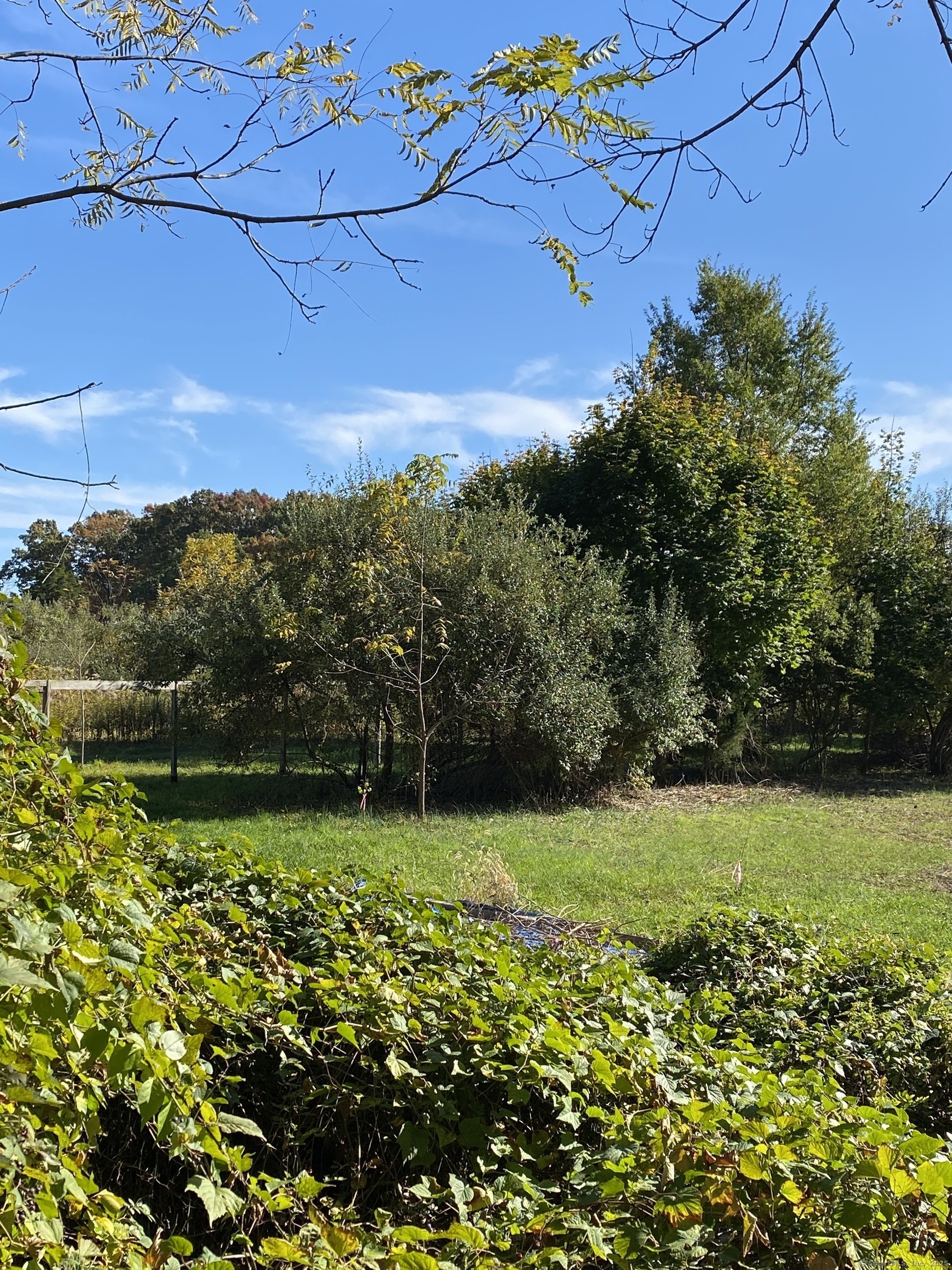 60 Ingham Hill Road Old Saybrook, CT 06475 - Photo 18 of 23 a view of a garden with a building in the background