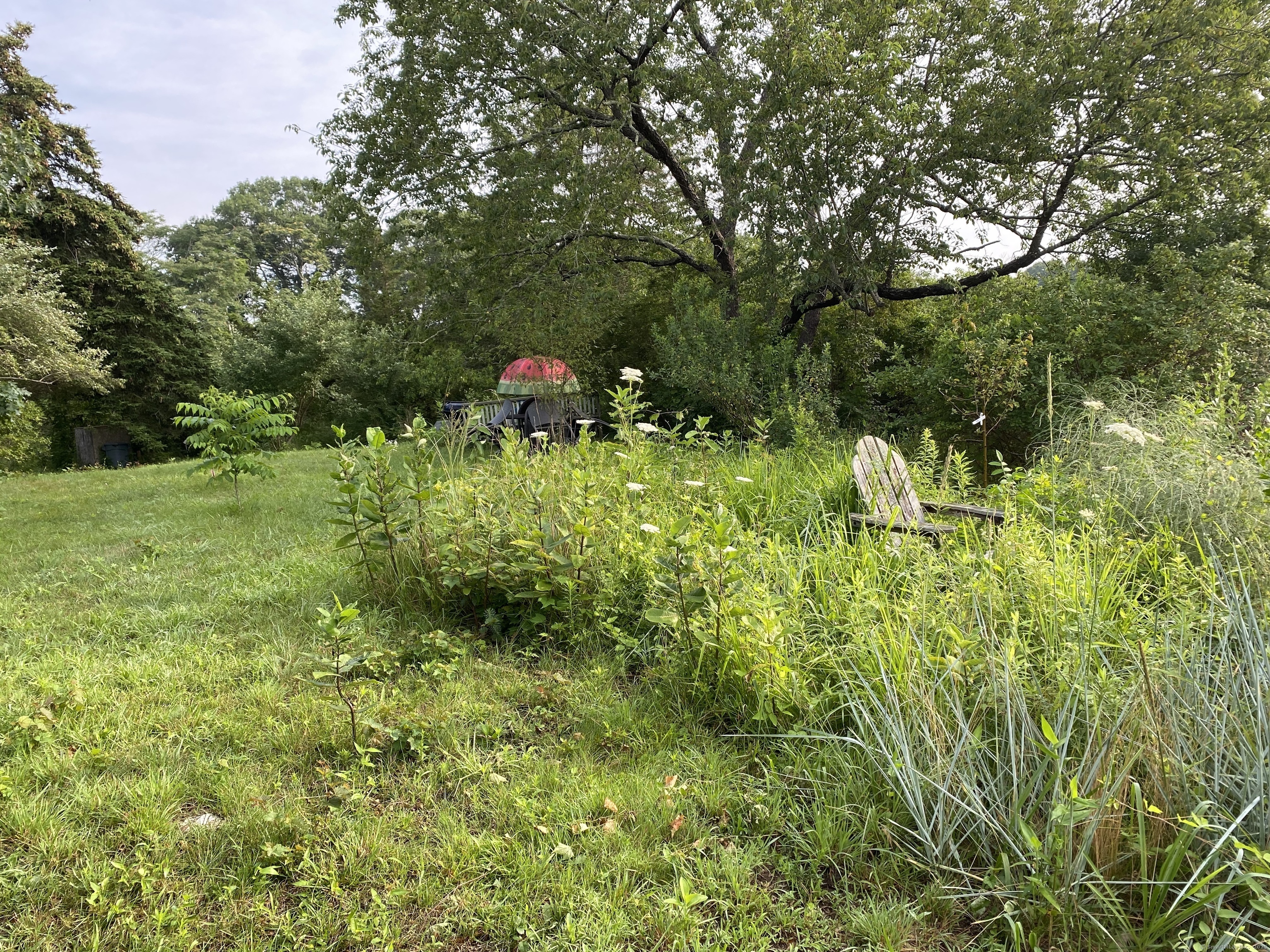 60 Ingham Hill Road Old Saybrook, CT 06475 - Photo 5 of 23 a view of a garden with plants and large trees