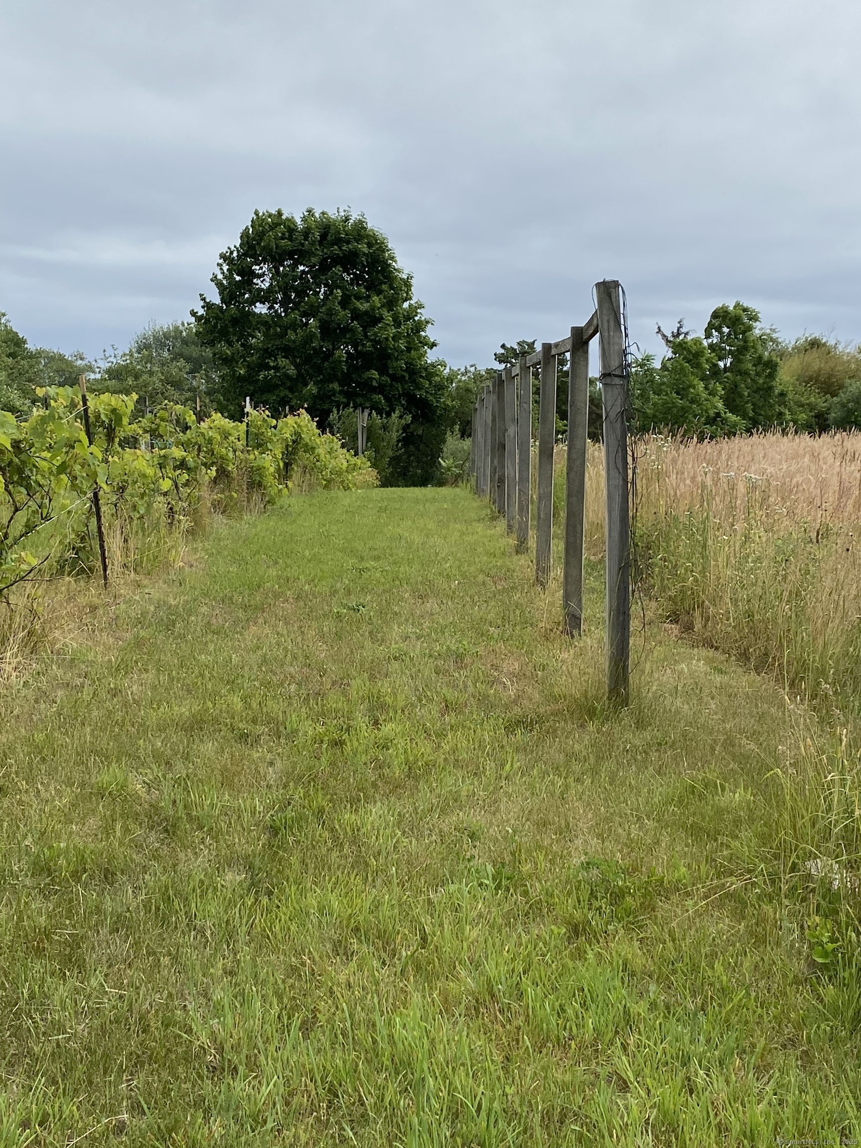 60 Ingham Hill Road Old Saybrook, CT 06475 - Photo 7 of 23 a backyard of a house with lots of green space and lake view in back