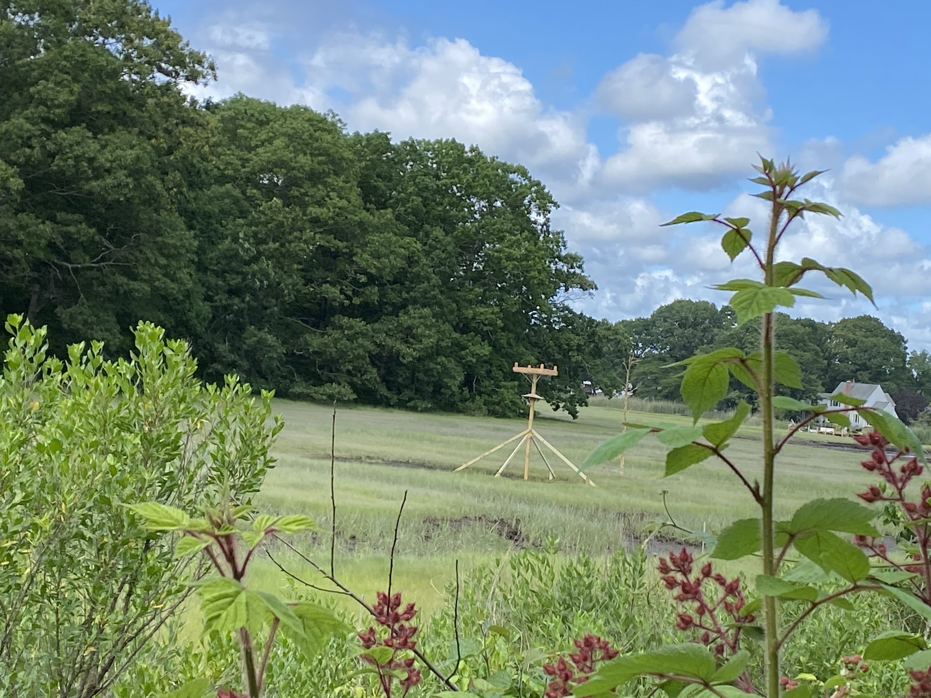 60 Ingham Hill Road Old Saybrook, CT 06475 - Photo 9 of 23