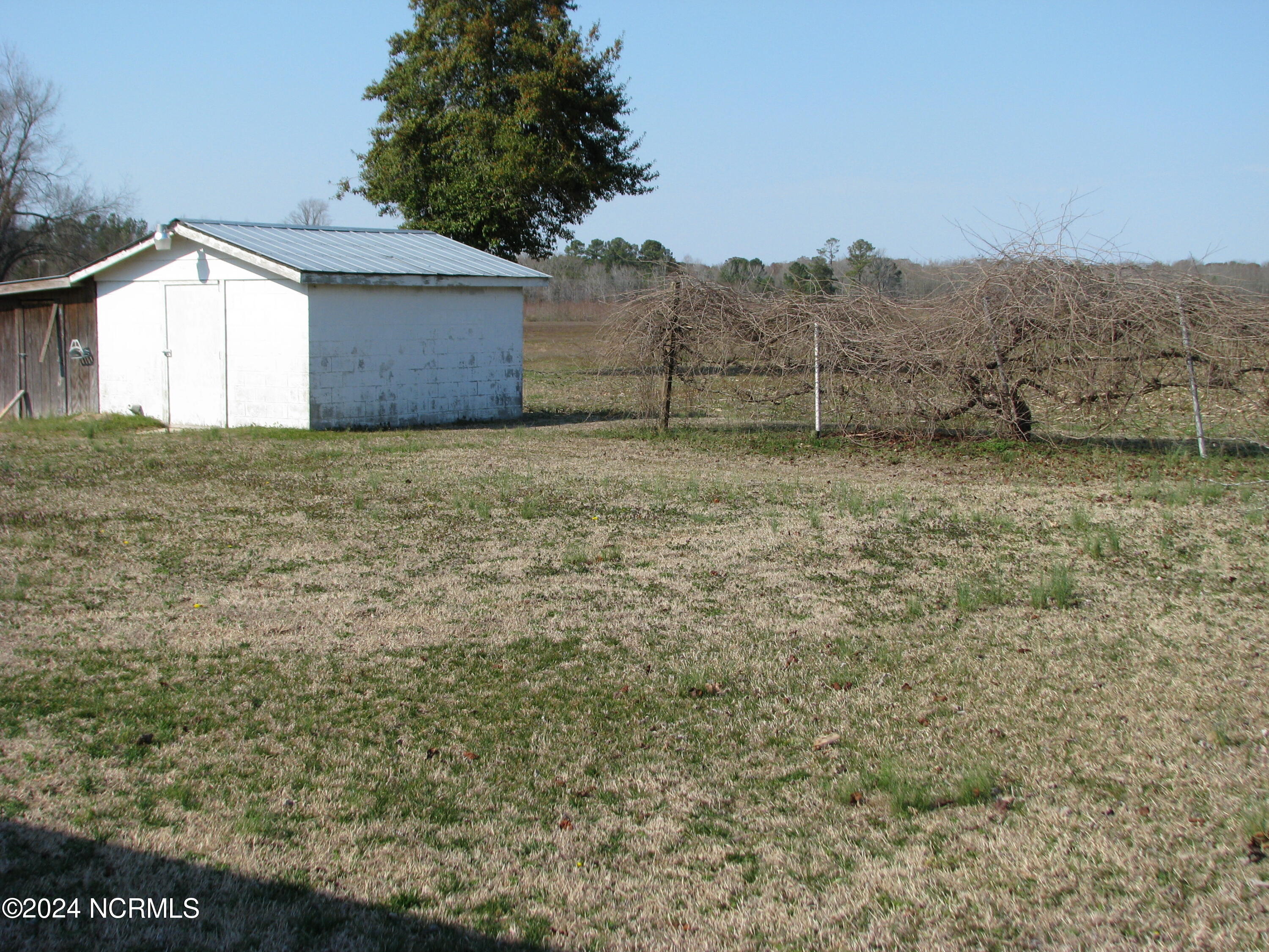 6733 Highway 32 Roper, NC 27970 - Photo 6 of 18 Storage buildings on back of lot - note grape vine