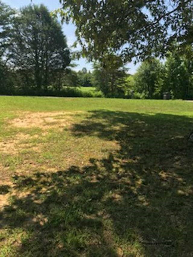 1087 Lock 5 Road Roundhill, KY 42275 - Photo 4 of 16 Gallery Image 4