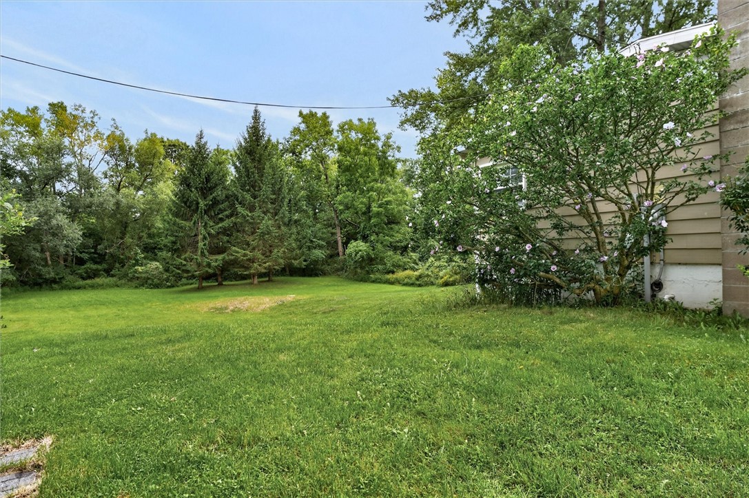 7213 Tilton Road Bristol, NY 14469 - Photo 40 of 50 Beyond those 2 evergreens is a creek!