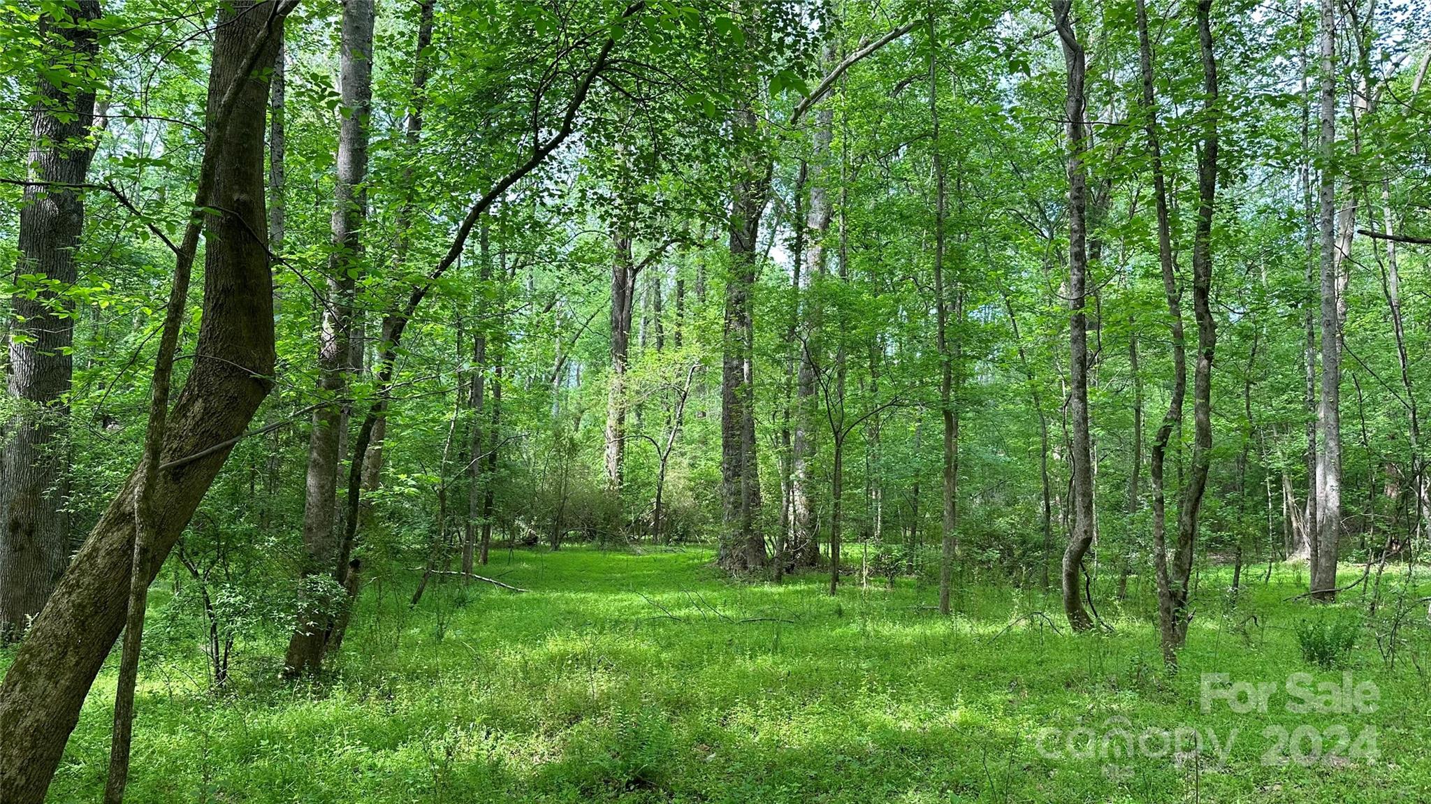 Tbd West Rebound Road, Unit D Lancaster, SC 29720 - Photo 3 of 6 a view of outdoor space and green space