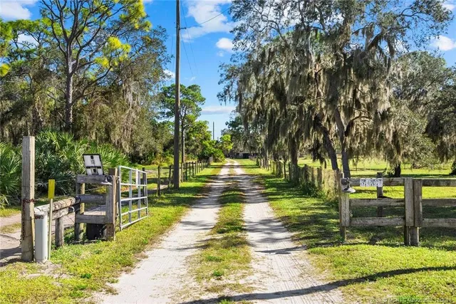 a view of a yard with a tree