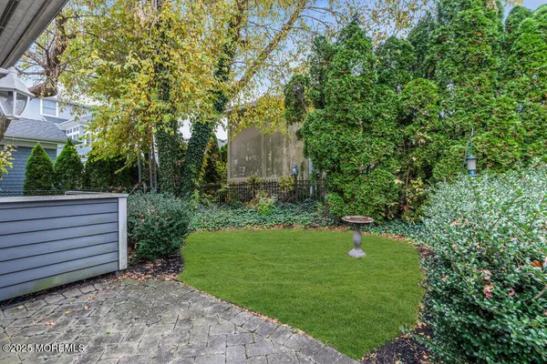 a view of a backyard with plants and a garden