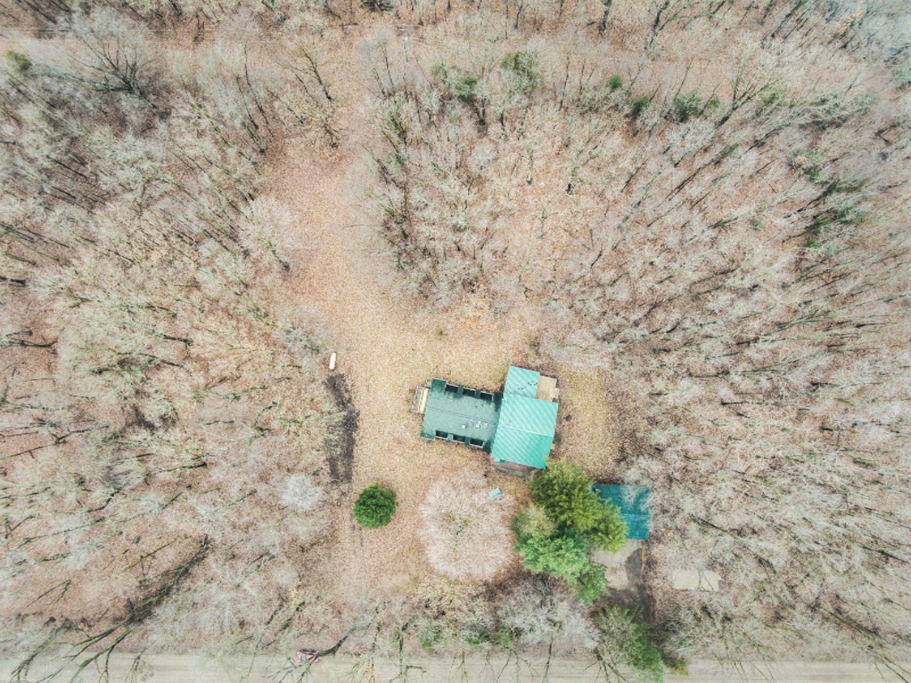 55264 Smith Road Mendon, MI 49072 - Photo 6 of 30 DJI_0481