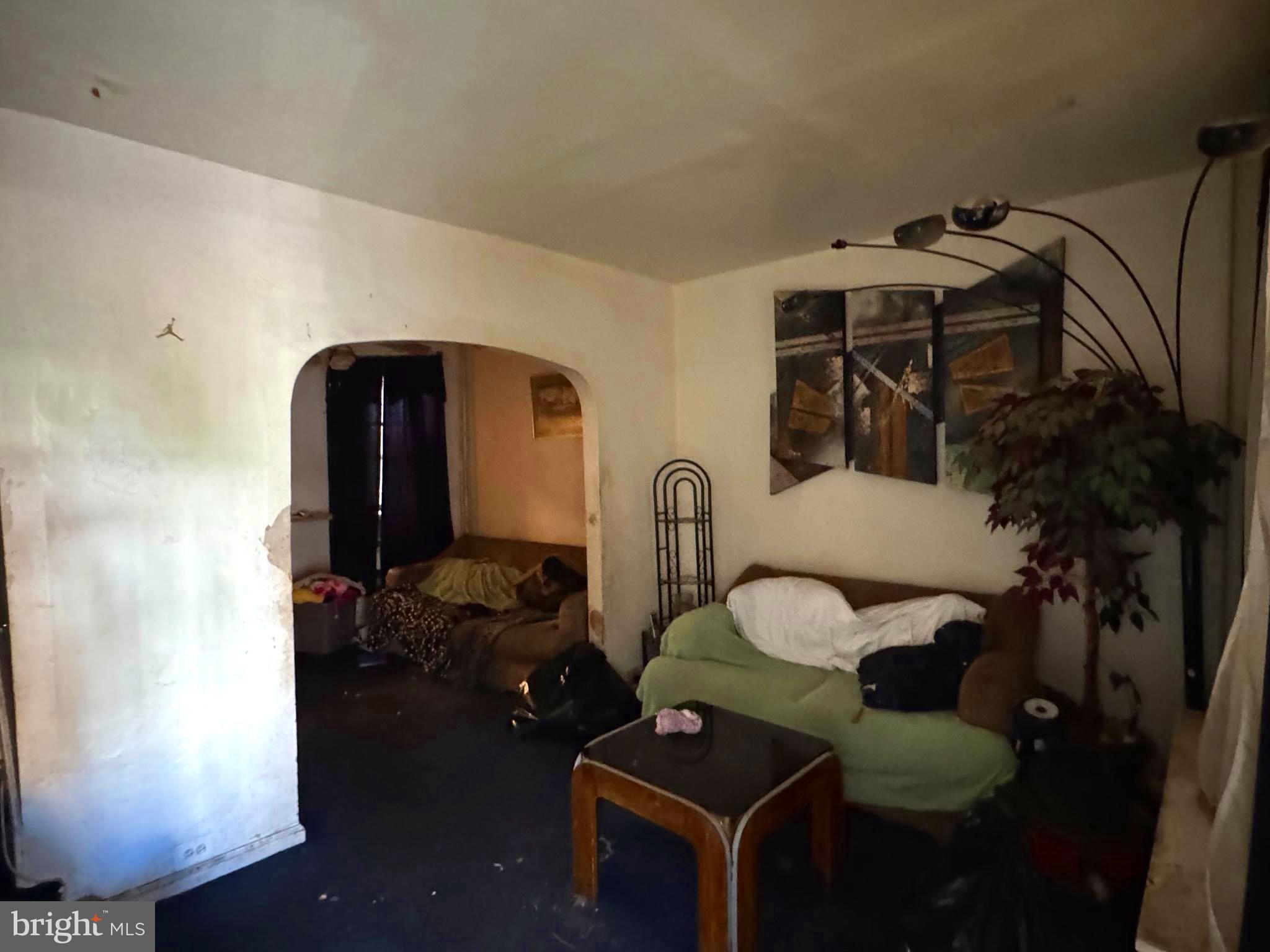 5702 Belmar Street Philadelphia, PA 19143 - Photo 4 of 14 a living room with furniture and a potted plant