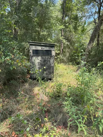 a view of house with a yard