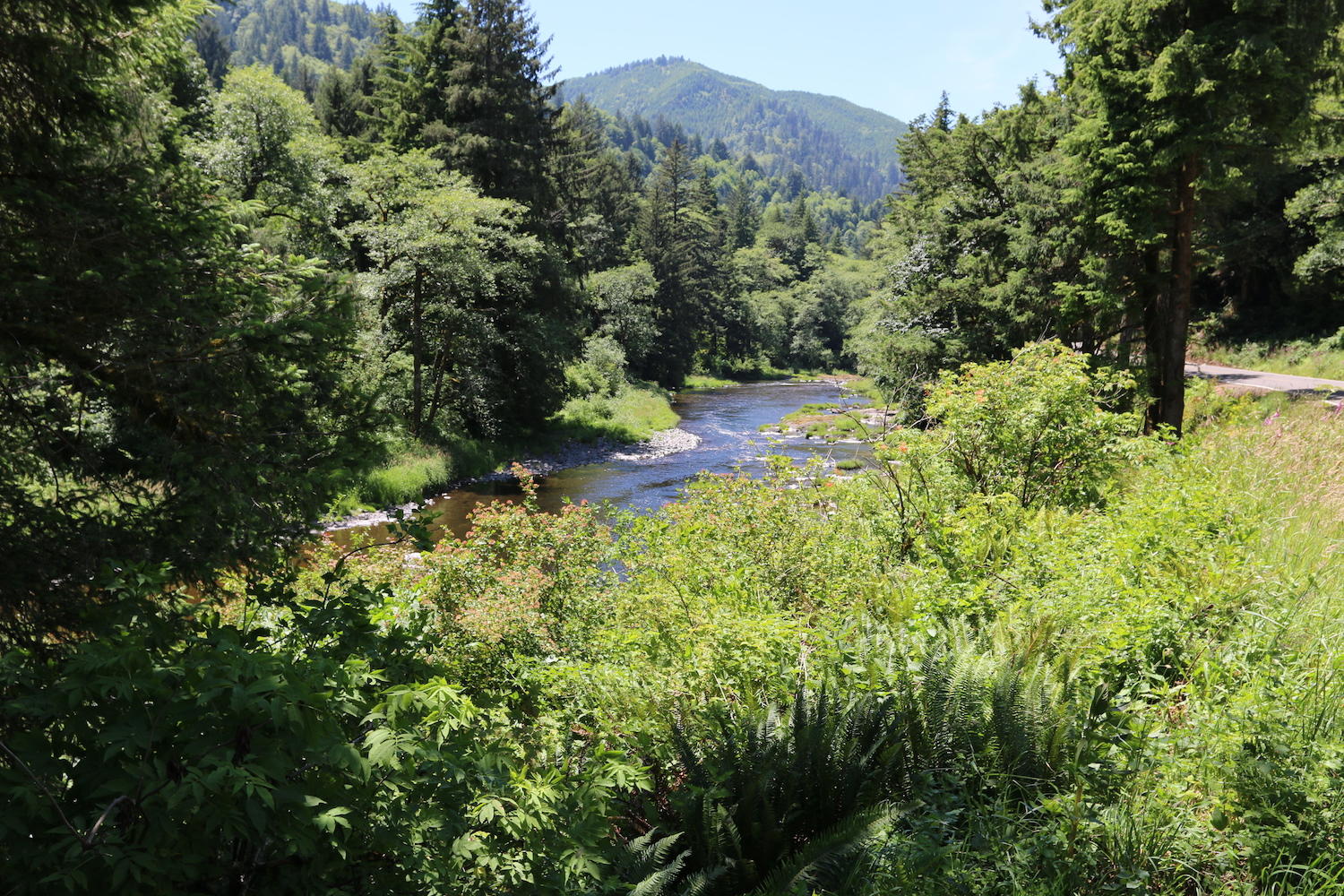 Vl Vl Trask River Road Tillamook, OR 97141 - Photo 3 of 10 IMG_0951