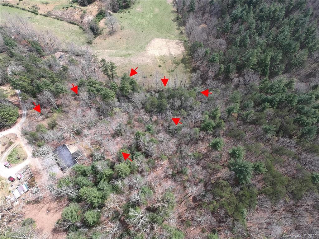 37 South Shiff Road Hendersonville, NC 28792 - Photo 26 of 27 Gallery Image 26