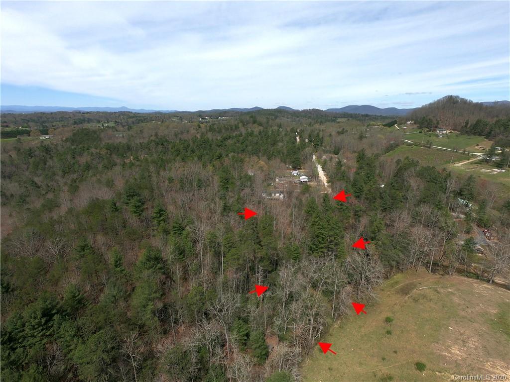 37 South Shiff Road Hendersonville, NC 28792 - Photo 5 of 27 Gallery Image 5