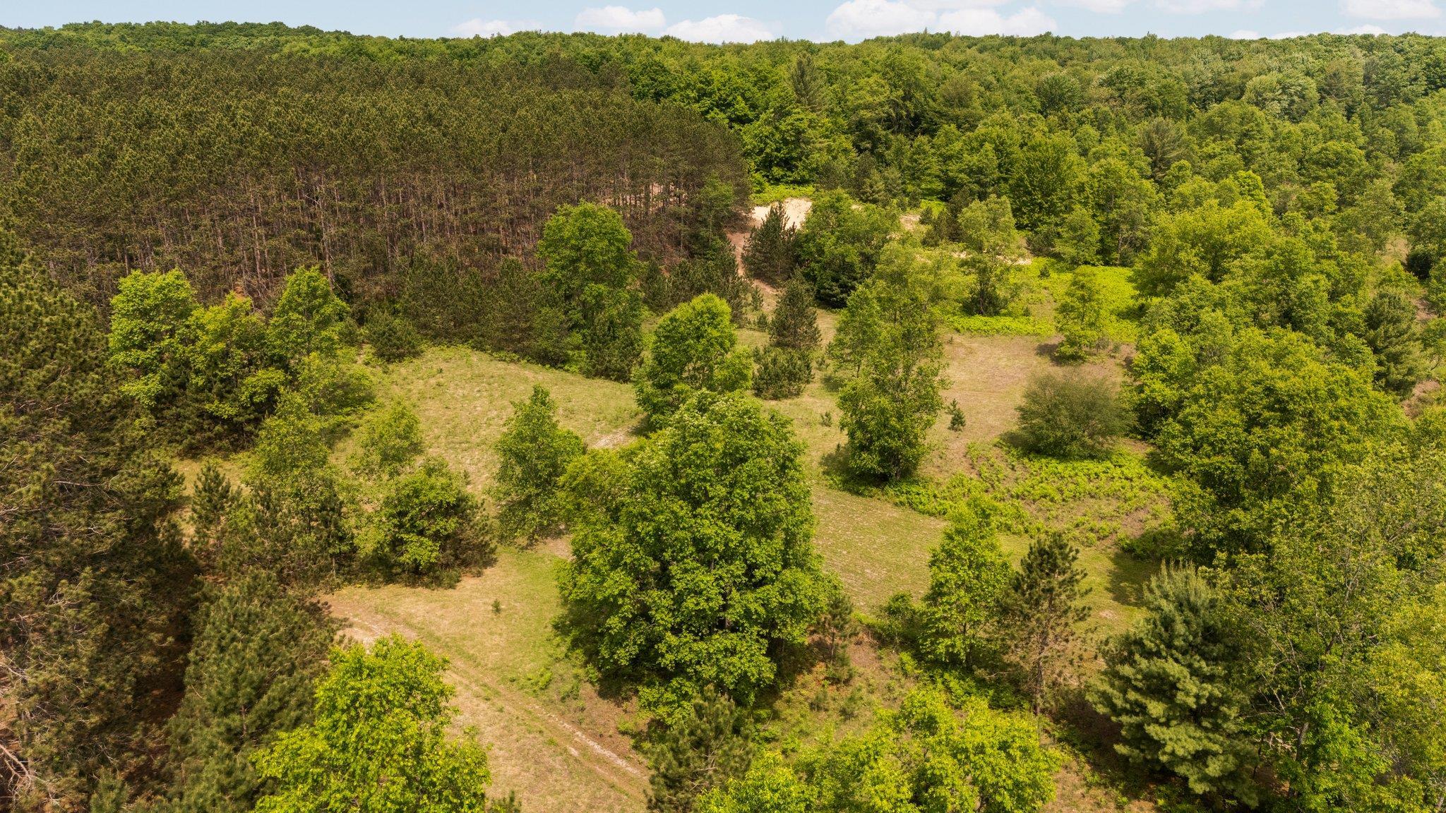 5744 Grand-Kal Road Southwest Fife Lake, MI 49633 - Photo 11 of 53