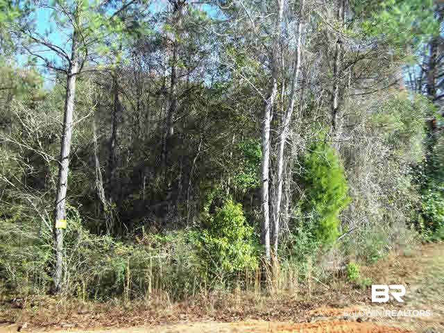 962 West State Line Road Flomaton, AL 36441 - Photo 9 of 16