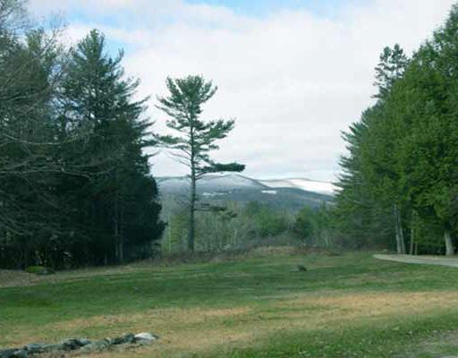 a view of a grassy field with trees in the background