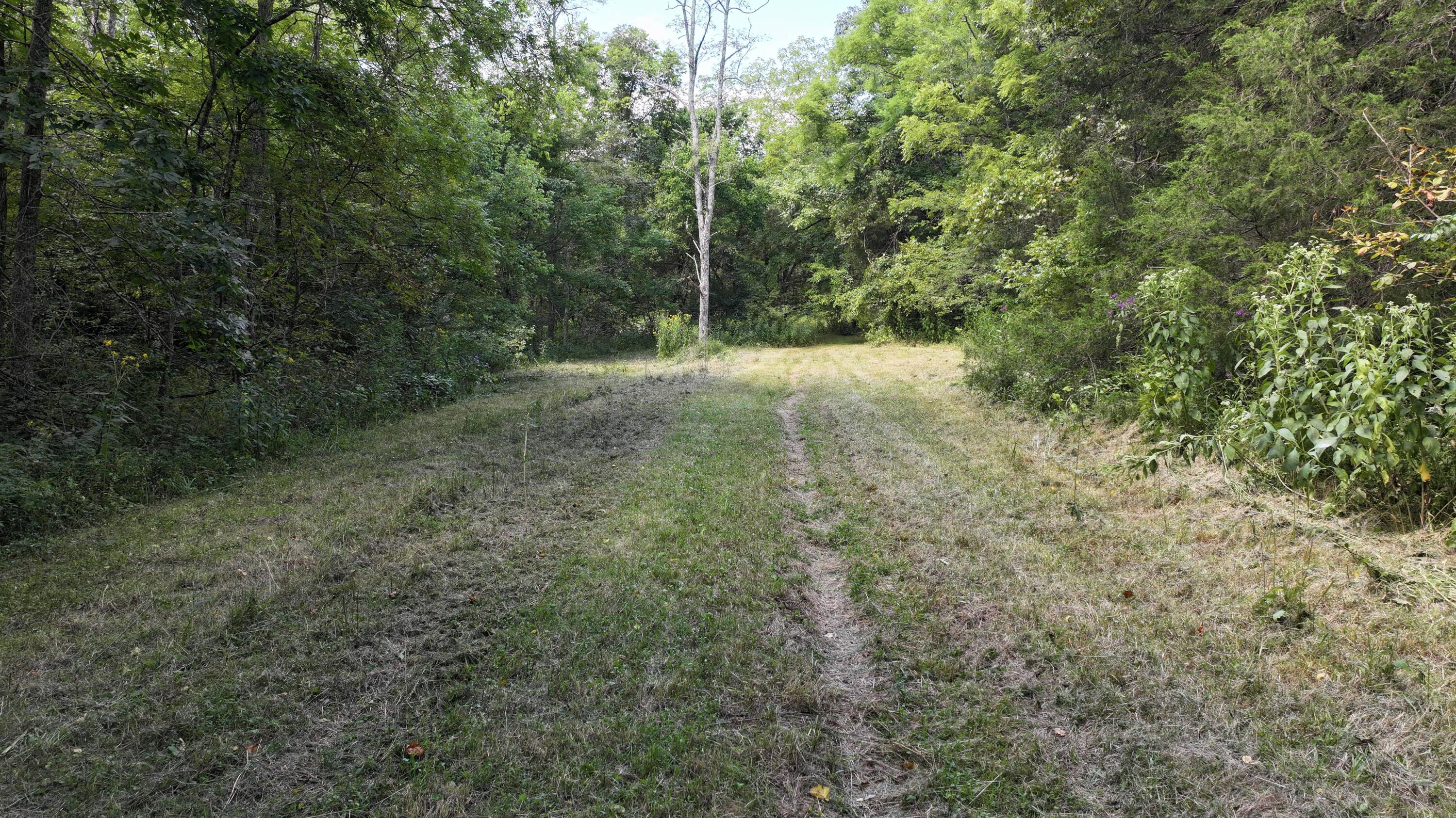 0 Caney Creek Road Owenton, KY 40359 - Photo 30 of 35