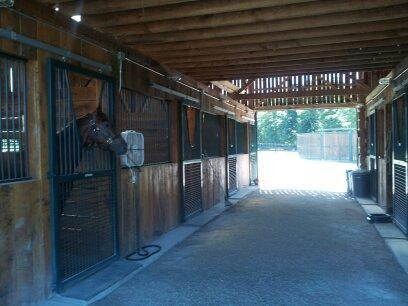 5365 Bryan Station Road Paris, KY 40361 - Photo 8 of 14 Photo 8